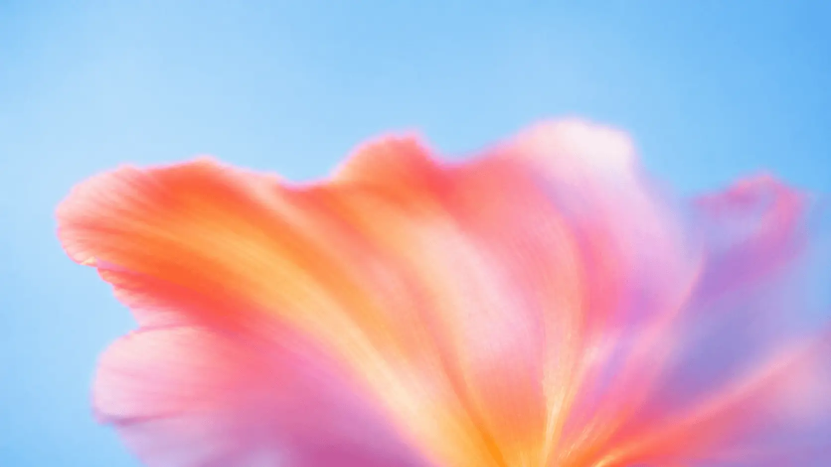 The death of teamwork